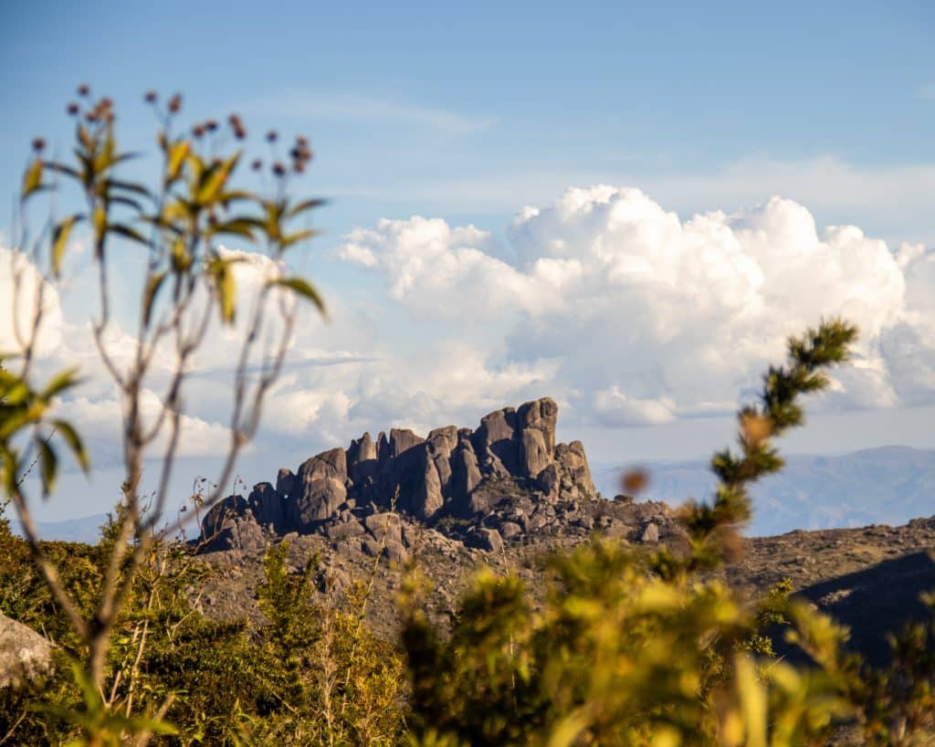 maciço do prateleiras parque nacional do itatiaia parte alta serra da mantiqueira